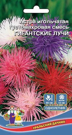 Купить оптом в Ботанике семена Астра Гиганские лучи УД бренд Уральский дачник