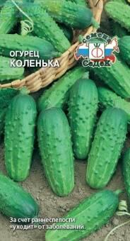 Купить оптом в Ботанике семена Огурец Коленька Сед бренд СеДеК