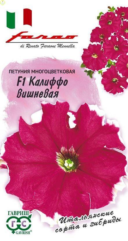 Купить оптом в Ботанике семена Петуния Калиффо вишневая F1 Гав бренд Гавриш