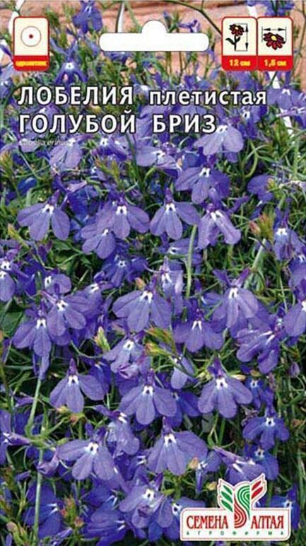 Купить оптом в Ботанике семена Лобелия Голубой бриз СА бренд Семена Алтая