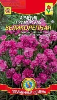 Купить оптом в Ботанике семена Армерия Приморская великолепная Плз бренд Плазмас