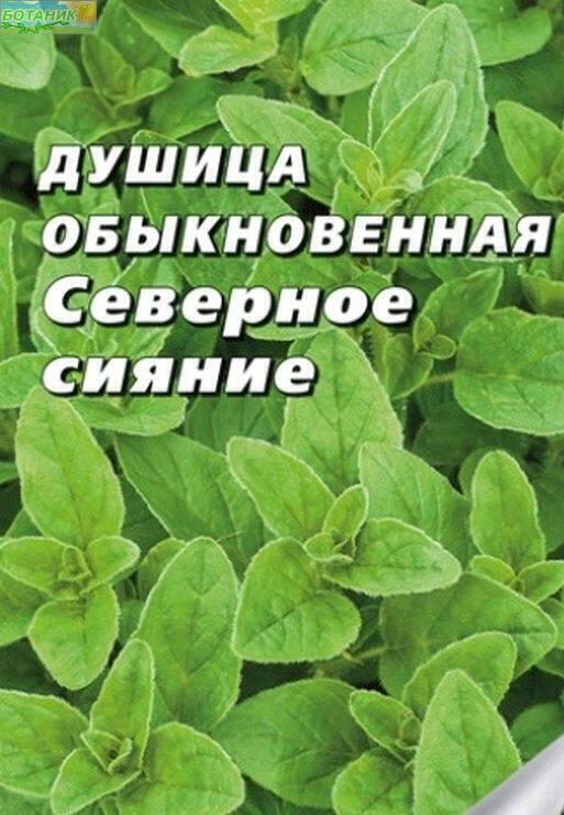 Купить оптом в Ботанике семена Душица Северное сияние Аэл бренд Аэлита