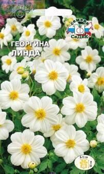 Купить оптом в Ботанике семена Георгина Линда Сед бренд СеДеК
