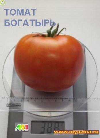 Купить оптом в Ботанике семена Томат Богатырь Мз бренд Мязина Л.А.