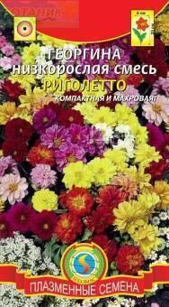 Купить оптом в Ботанике семена Георгина Риголетто Плз бренд Плазмас
