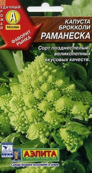 Купить оптом в Ботанике семена Капуста брокколи Раманеска Аэл бренд Аэлита