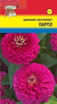 Купить оптом в Ботанике семена Цинния Лиллипут парпл УУ бренд Урожай Удачи
