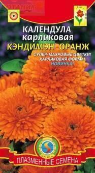 Купить оптом в Ботанике семена Календула Кэндимен оранж Плз бренд Плазмас