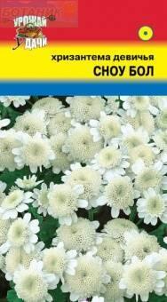 Купить оптом в Ботанике семена Хризантема Сноу Бол девичья УУ бренд Урожай Удачи