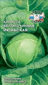 Купить оптом в Ботанике семена Капуста белокочанная Июньская Сед бренд СеДеК