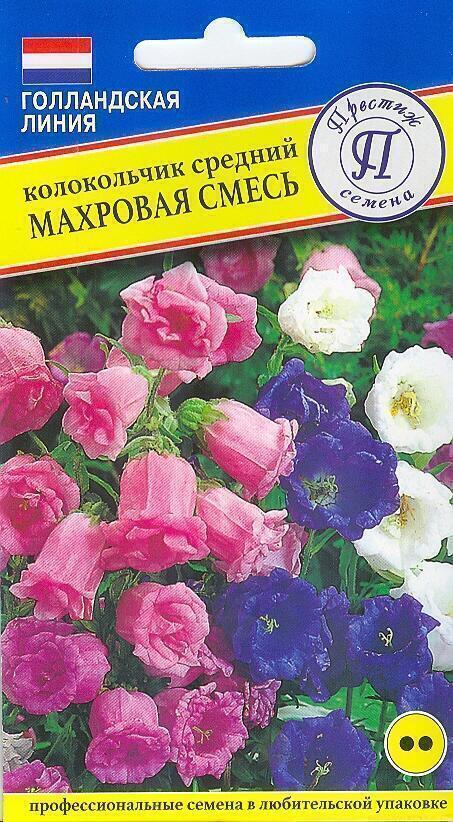 Купить оптом в Ботанике семена Колокольчик средний Махровая смесь Прес бренд Престиж