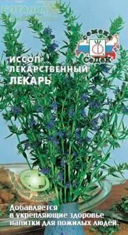 Купить оптом в Ботанике семена Иссоп Лекарь Сед бренд СеДеК