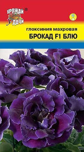 Купить оптом в Ботанике семена Глоксиния Брокад блю F1 УУ бренд Урожай Удачи