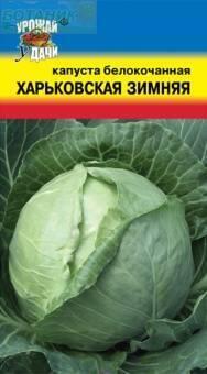 Купить оптом в Ботанике семена Капуста белокочанная Харьковская зимняя УУ бренд Урожай Удачи
