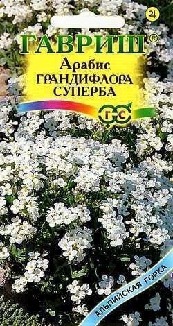 Купить оптом в Ботанике семена Арабис Грандифлора суперба Гав бренд Гавриш