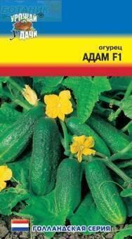 Купить оптом в Ботанике семена Огурец Адам F1 УУ бренд Урожай Удачи