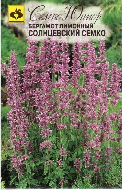 Купить оптом в Ботанике семена Бергамот лимонный Солнцевский Сем бренд Семко