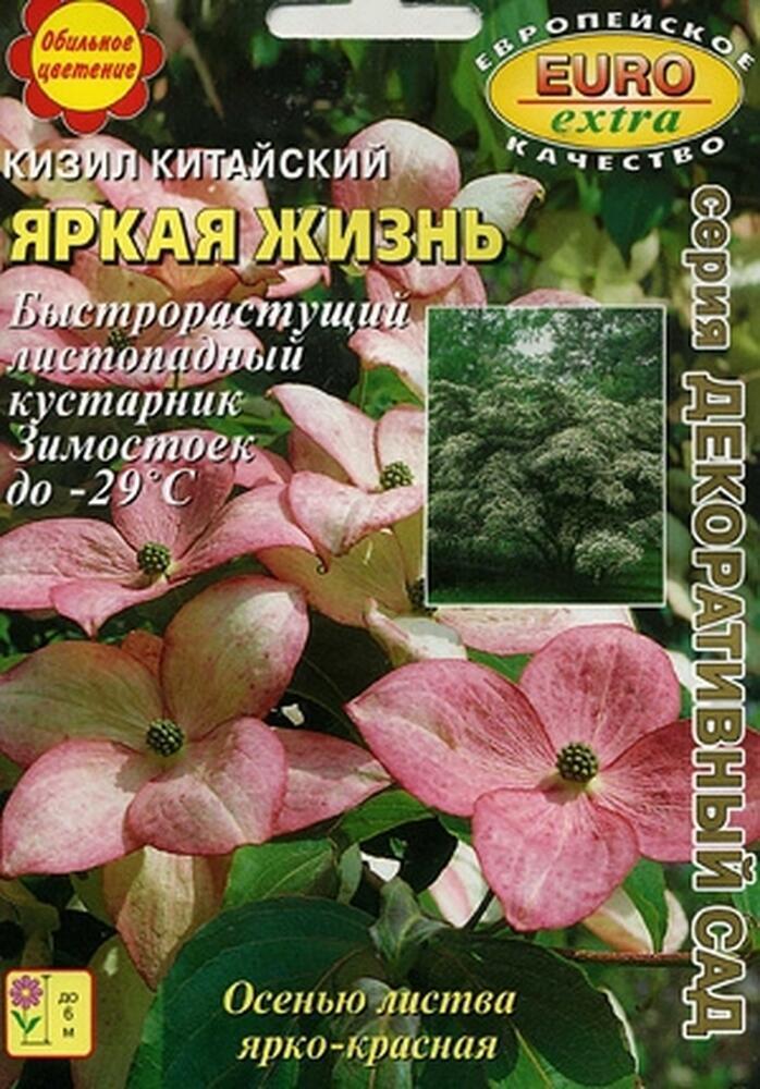 Купить оптом в Ботанике семена Кизил Яркая жизнь китайский Аэл бренд Аэлита