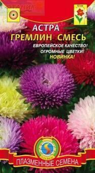 Купить оптом в Ботанике семена Астра Гремлин смесь Плз бренд Плазмас