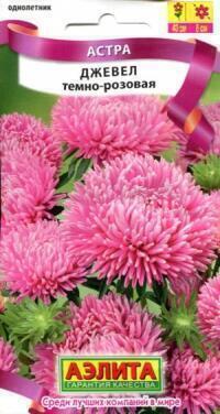 Купить оптом в Ботанике семена Астра Джевел темно-розовая Аэл бренд Аэлита
