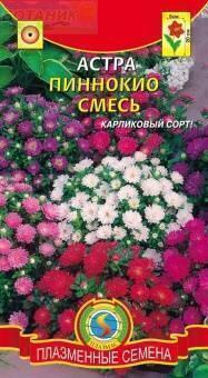 Купить оптом в Ботанике семена Астра Пиноккио смесь Плз бренд Плазмас