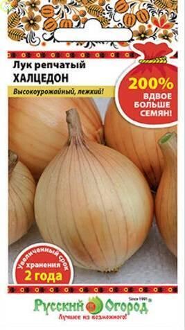 Купить оптом в Ботанике семена Лук репчатый Халцедон 200 % НК бренд НК