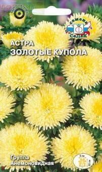 Купить оптом в Ботанике семена Астра Золотые купола Сед бренд СеДеК