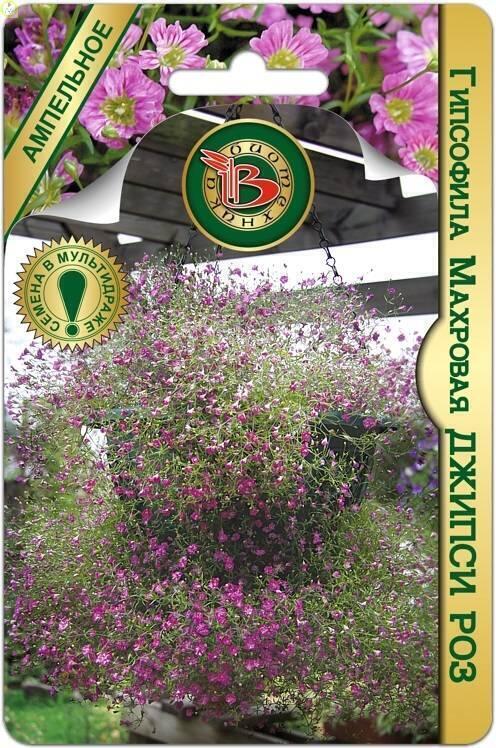 Купить оптом в Ботанике семена Гипсофила Джипси Роз Био бренд Биотехника