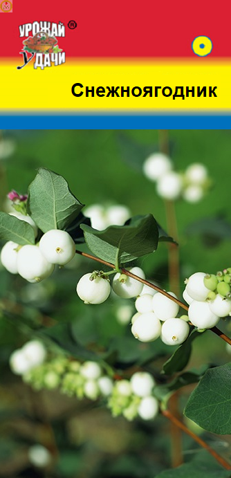 Купить оптом в Ботанике семена Снежноягодник УУ бренд Урожай Удачи