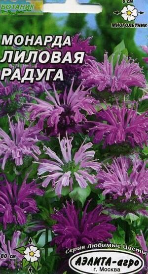 Купить оптом в Ботанике семена Монарда Лиловая радуга Аэл бренд Аэлита