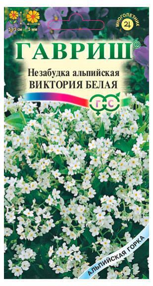 Купить оптом в Ботанике семена Незабудка альпийская Белая * Гав бренд Гавриш