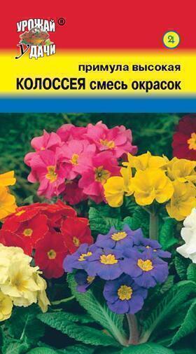 Купить оптом в Ботанике семена Примула Колоссея смесь УУ бренд Урожай Удачи