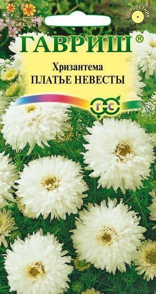 Купить оптом в Ботанике семена Хризантема Платье невесты Гав бренд Гавриш