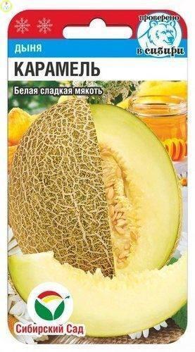 Купить оптом в Ботанике семена Дыня Карамель СС  бренд Сиб.сад