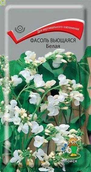 Купить оптом в Ботанике семена Фасоль вьющаяся Белая Поиск бренд Поиск