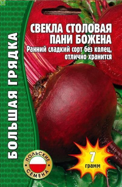 Купить оптом в Ботанике семена Свекла Пани Божена столовая Реш бренд Решение, ООО