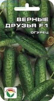 Купить оптом в Ботанике семена Огурец Верные друзья F1 СС бренд Сиб.сад