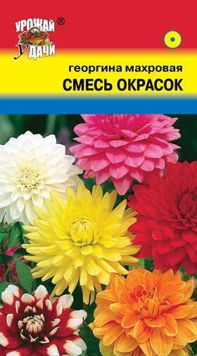 Купить оптом в Ботанике семена Георгина Махровая УУ бренд Урожай Удачи