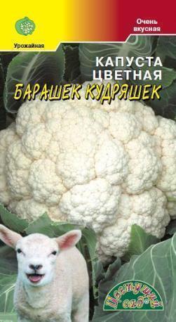 Купить оптом в Ботанике семена Капуста цветная Барашек кудряшек ЦС бренд Цветущий Сад
