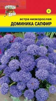 Купить оптом в Ботанике семена Астра Доминика сапфир УУ бренд Урожай Удачи