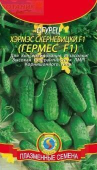 Купить оптом в Ботанике семена Огурец Хэрмэс Скерневицки F1 Плз бренд Плазмас