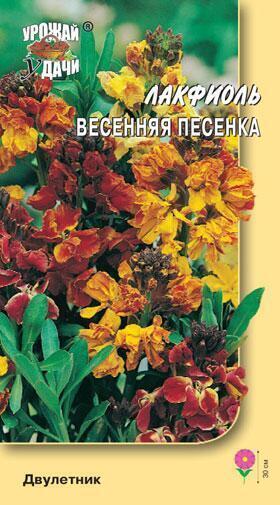 Купить оптом в Ботанике семена Лакфиоль Весенняя песенка УУ бренд Урожай Удачи