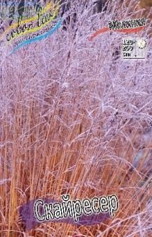 Купить оптом в Ботанике Молиния Скайресер 2 шт