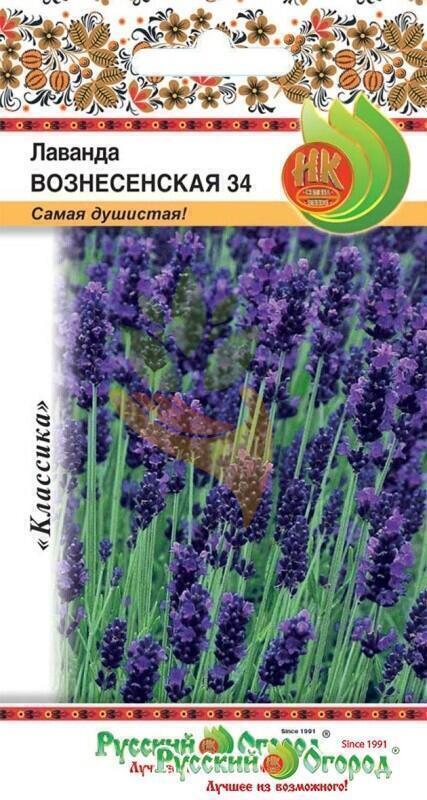 Купить оптом в Ботанике семена Лаванда Вознесенская 34 НК бренд НК