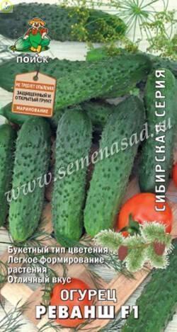Купить оптом в Ботанике семена Огурец Реванш F1 Поиск бренд Поиск