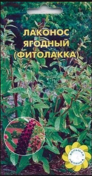 Купить оптом в Ботанике семена Лаконос Ягодный УУ бренд Урожай Удачи