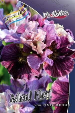 Купить оптом в Ботанике Ирис Мэд Хэт 1шт 