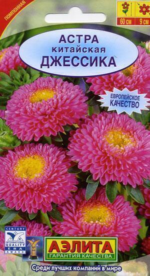 Купить оптом в Ботанике семена Астра Джессика Аэл бренд Аэлита