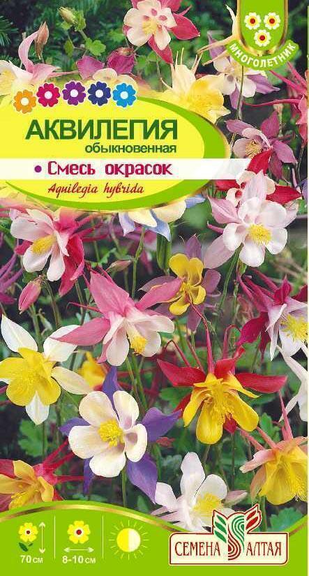 Купить оптом в Ботанике семена Аквилегия Смесь окрасок СА бренд Семена Алтая