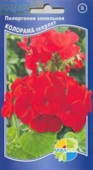 Купить оптом в Ботанике семена Пеларгония Калорама Скарлет Акв бренд Акварель